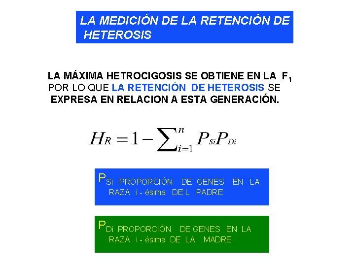 LA MEDICIÓN DE LA RETENCIÓN DE HETEROSIS LA MÁXIMA HETROCIGOSIS SE OBTIENE EN LA
