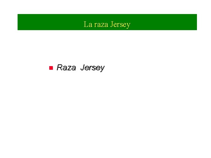 La raza Jersey n Raza Jersey 