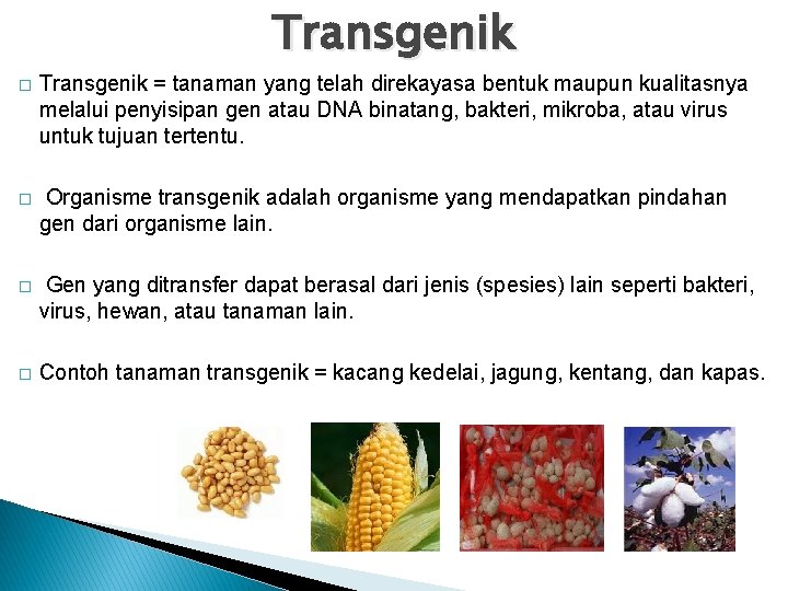 Transgenik � Transgenik = tanaman yang telah direkayasa bentuk maupun kualitasnya melalui penyisipan gen