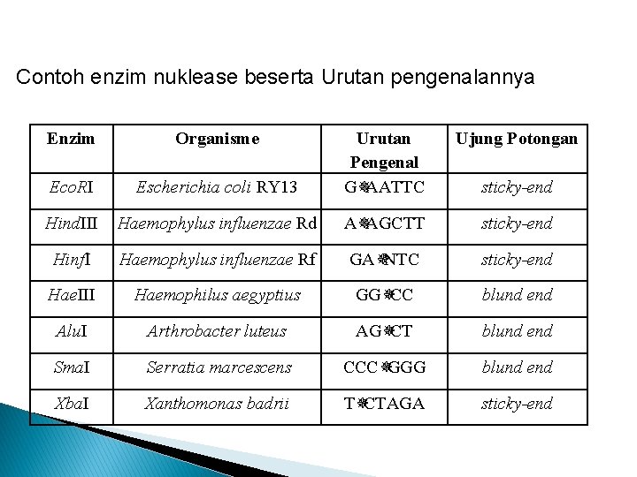 Contoh enzim nuklease beserta Urutan pengenalannya Enzim Organisme Ujung Potongan Escherichia coli RY 13