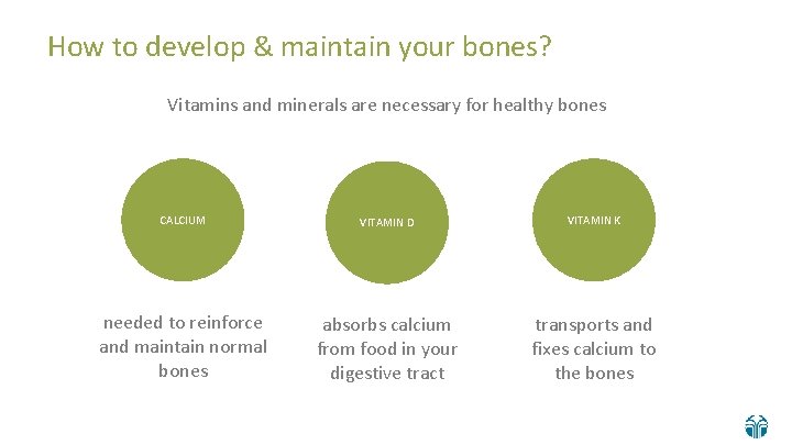 How to develop & maintain your bones? Vitamins and minerals are necessary for healthy