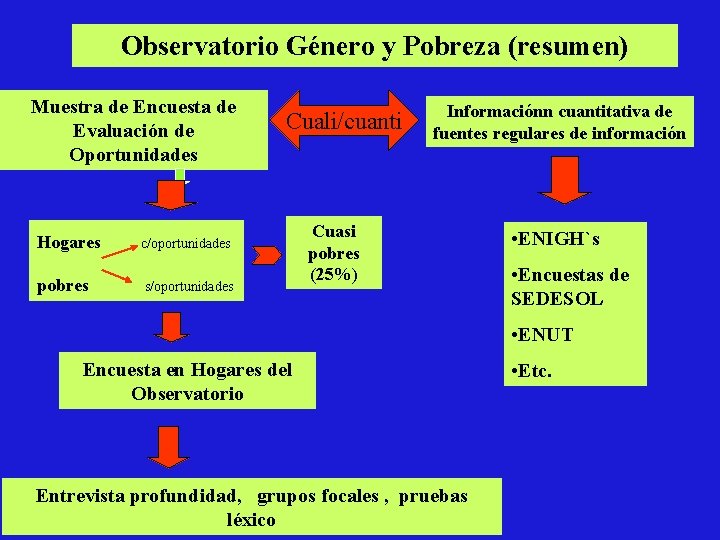 Observatorio Género y Pobreza (resumen) Muestra de Encuesta de Evaluación de Oportunidades Hogares c/oportunidades