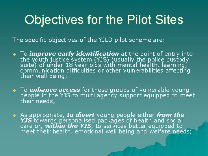 Objectives for the Pilot Sites The specific objectives of the YJLD pilot scheme are: