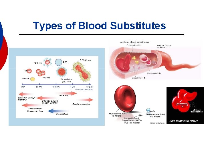 Types of Blood Substitutes 