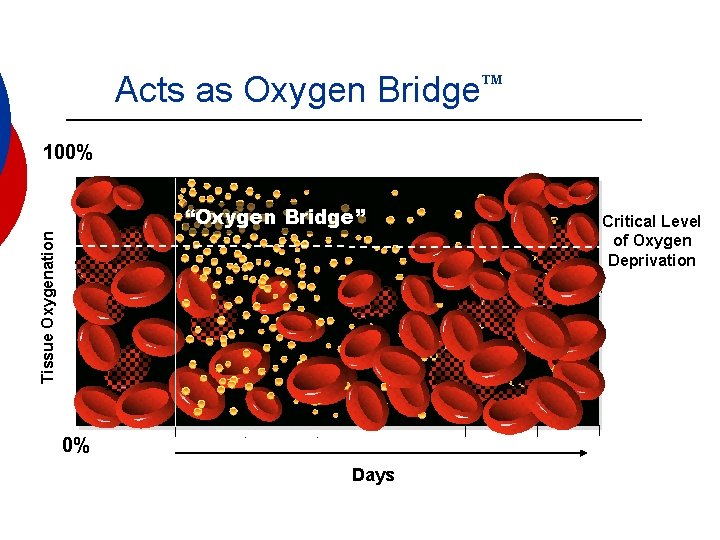 Acts as Oxygen Bridge 100% Tissue Oxygenation “Oxygen Bridge” 0% Days Critical Level of