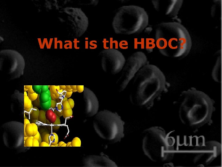 What is the HBOC? 