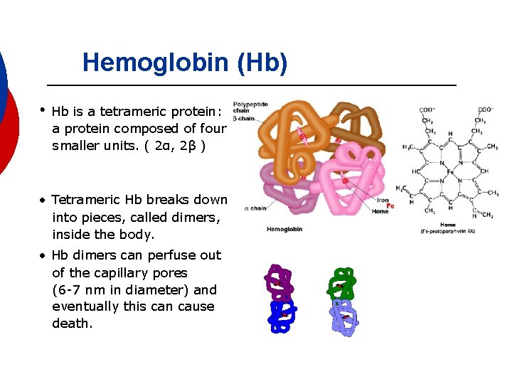 Hemoglobin (Hb) • Hb is a tetrameric protein: a protein composed of four smaller