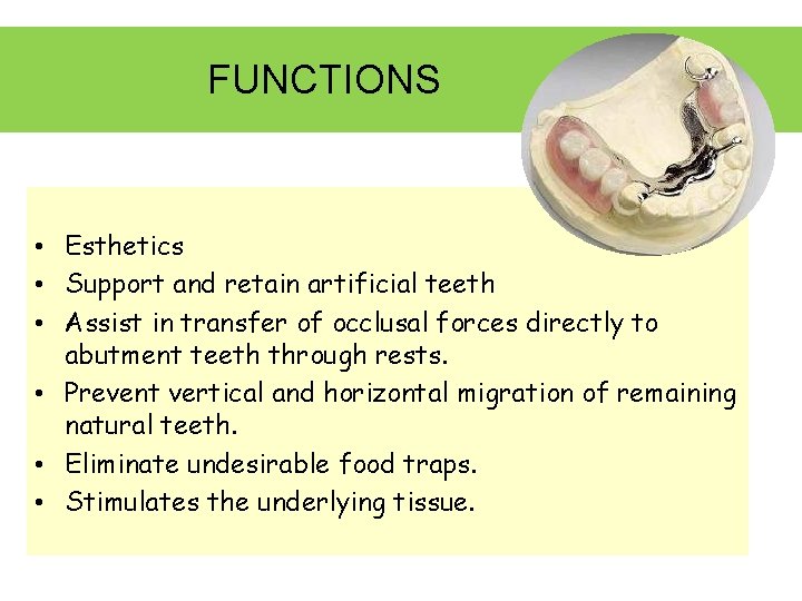 FUNCTIONS • Esthetics • Support and retain artificial teeth • Assist in transfer of