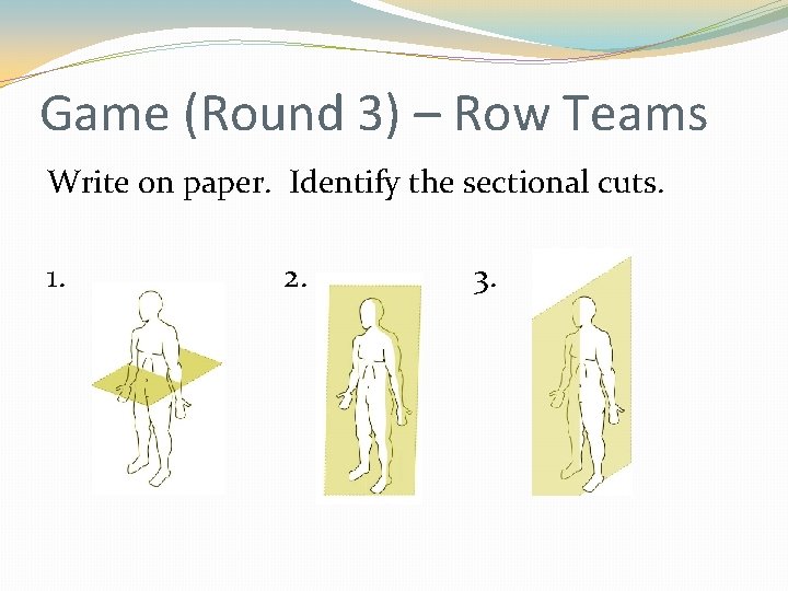 Game (Round 3) – Row Teams Write on paper. Identify the sectional cuts. 1. Game (Round 3) – Row Teams Write on paper. Identify the sectional cuts. 1.