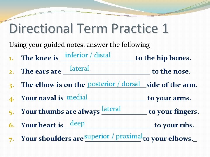 Directional Term Practice 1 Using your guided notes, answer the following inferior / distal