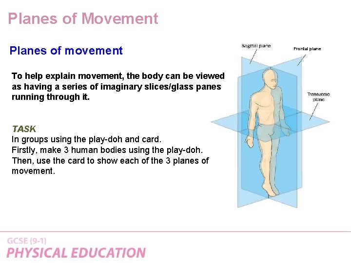 Planes of Movement Planes of movement To help explain movement, the body can be