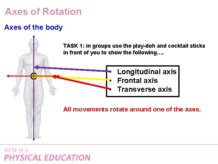 Axes of Rotation Axes of the body TASK 1: in groups use the play-doh