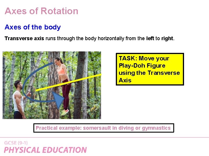 Axes of Rotation Axes of the body Transverse axis runs through the body horizontally