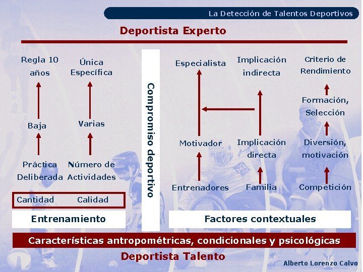 La Detección de Talentos Deportivos Deportista Experto Regla 10 años Práctica Varias Número de