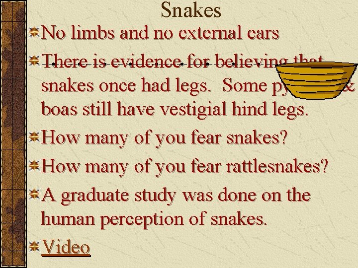 Snakes No limbs and no external ears There is evidence for believing that snakes