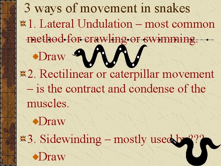 3 ways of movement in snakes 1. Lateral Undulation – most common method for
