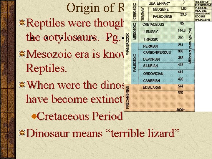 Origin of Reptiles were thought to of arose from the cotylosaurs. Pg. 841 Mesozoic