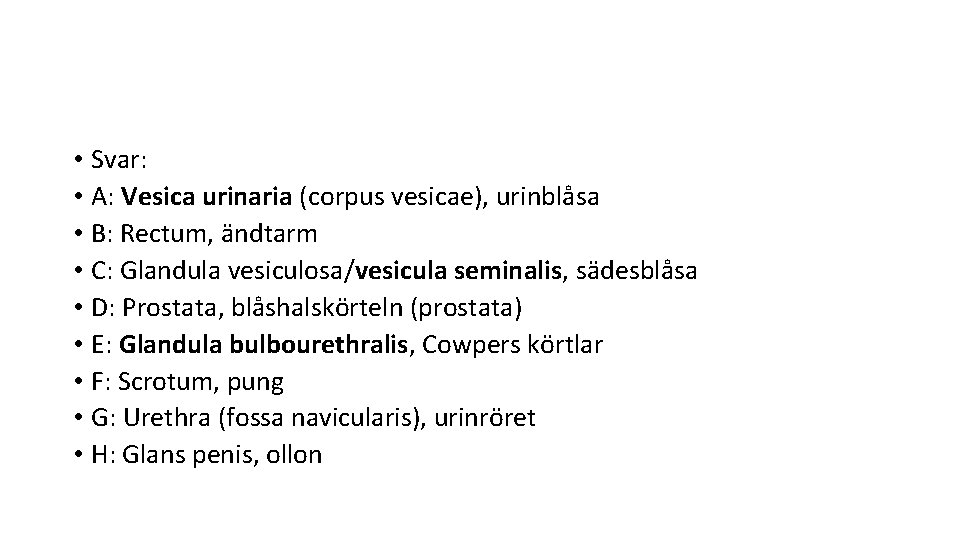  • Svar: • A: Vesica urinaria (corpus vesicae), urinblåsa • B: Rectum, ändtarm