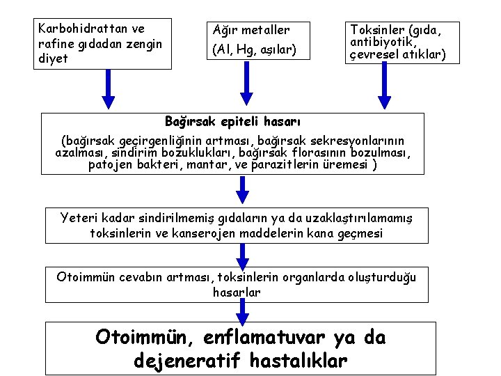 Karbohidrattan ve rafine gıdadan zengin diyet Ağır metaller (Al, Hg, aşılar) Toksinler (gıda, antibiyotik,