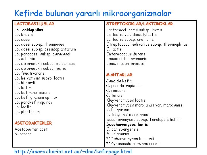 Kefirde bulunan yararlı mikroorganizmalar LACTOBASILUSLAR Lb. acidophilus Lb. brevis Lb. casei subsp. rhamnosus Lb.