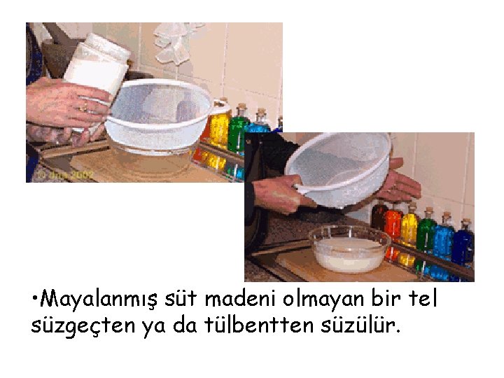  • Mayalanmış süt madeni olmayan bir tel süzgeçten ya da tülbentten süzülür. 