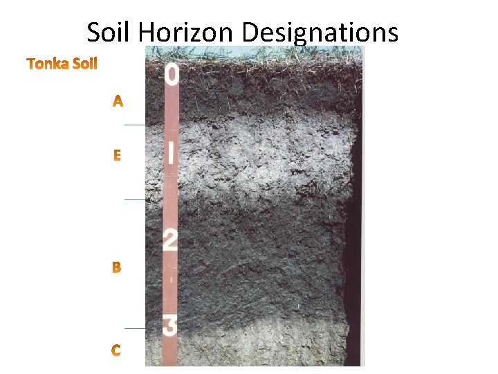 Soil Horizon Designations 