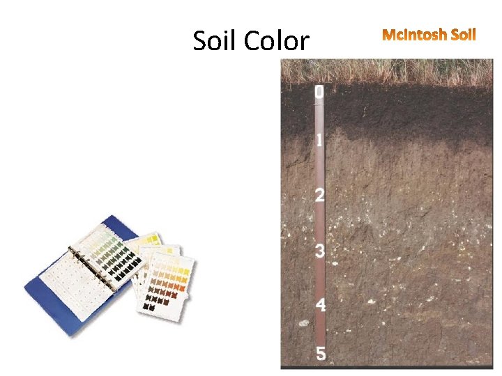 Soil Color 
