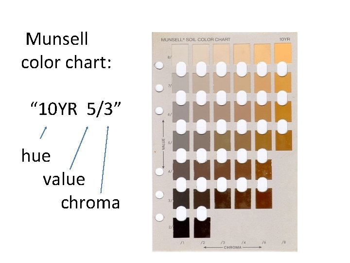  Munsell color chart: “ 10 YR 5/3” hue value chroma 