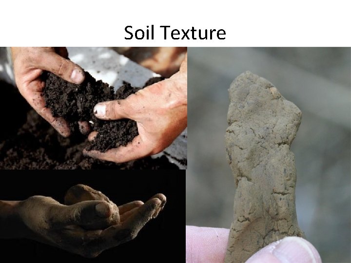 Soil Texture 