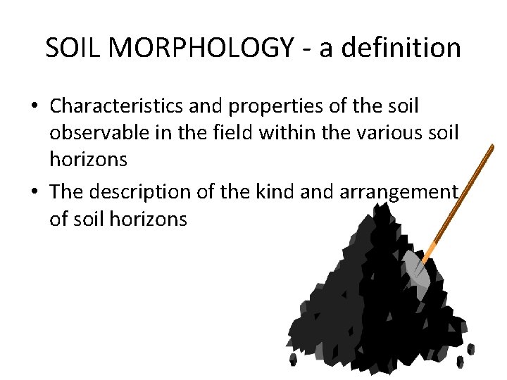 SOIL MORPHOLOGY - a definition • Characteristics and properties of the soil observable in