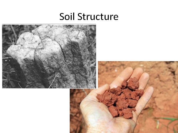 Soil Structure 