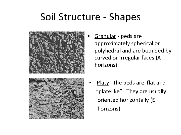 Soil Structure - Shapes • Granular - peds are approximately spherical or polyhedral and