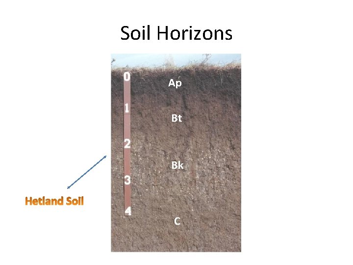 Soil Horizons Ap Bt Bk C 