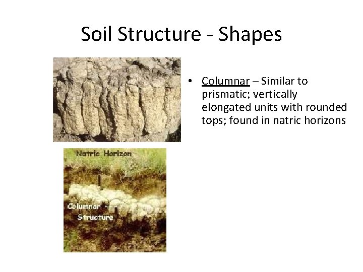 Soil Structure - Shapes • Columnar – Similar to prismatic; vertically elongated units with