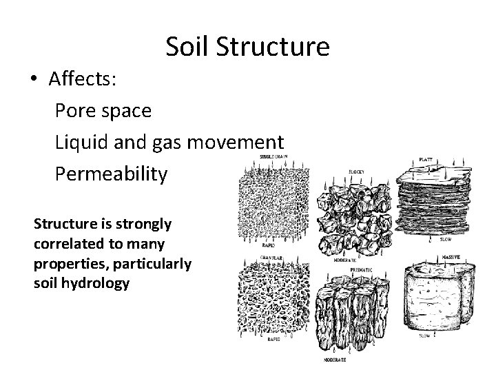 Soil Structure • Affects: Pore space Liquid and gas movement Permeability Structure is strongly