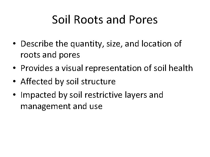 Soil Roots and Pores • Describe the quantity, size, and location of roots and