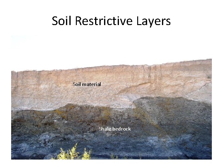 Soil Restrictive Layers Soil material Shale bedrock 