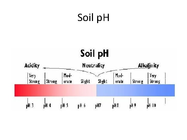 Soil p. H 