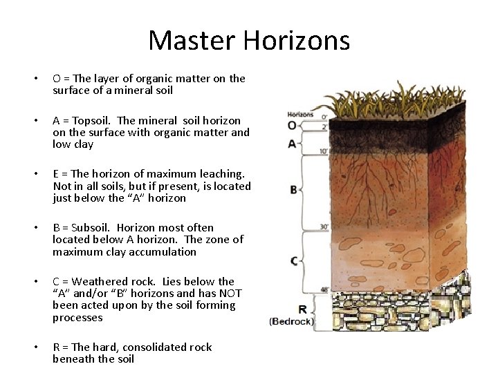 Master Horizons • O = The layer of organic matter on the surface of