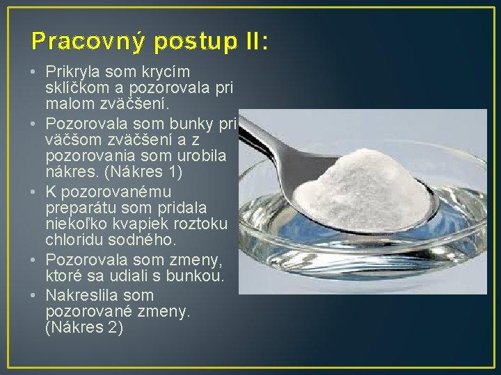 Pracovný postup II: • Prikryla som krycím sklíčkom a pozorovala pri malom zväčšení. • Pracovný postup II: • Prikryla som krycím sklíčkom a pozorovala pri malom zväčšení. •