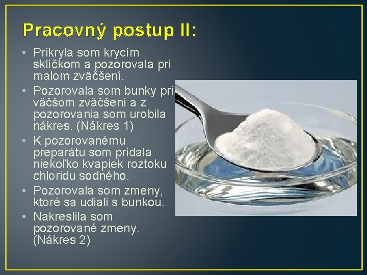 Pracovný postup II: • Prikryla som krycím sklíčkom a pozorovala pri malom zväčšení. •