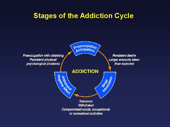 Stages of the Addiction Cycle 