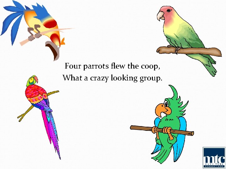 Four parrots flew the coop, What a crazy looking group. 