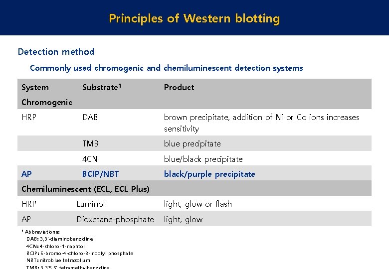 Principles of Western blotting Detection method Commonly used chromogenic and chemiluminescent detection systems System