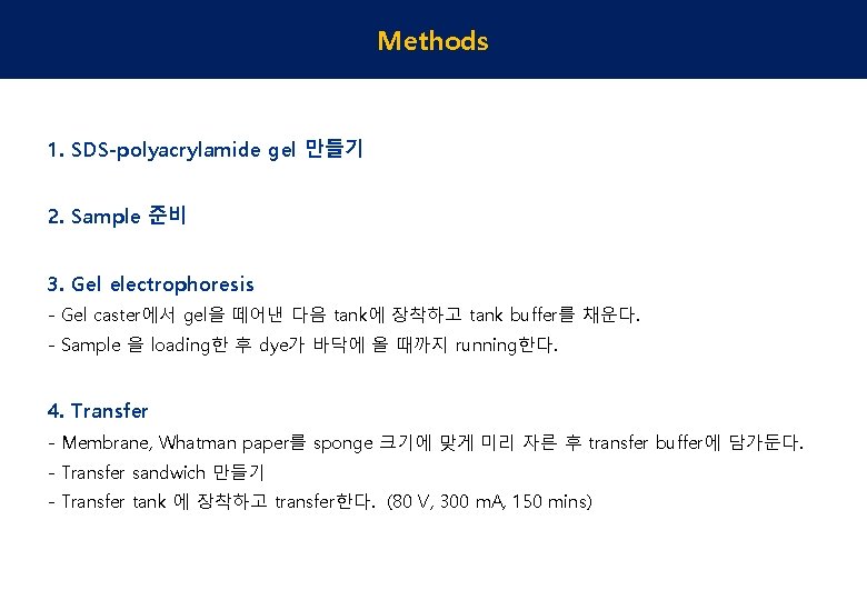 Methods 1. SDS-polyacrylamide gel 만들기 2. Sample 준비 3. Gel electrophoresis - Gel caster에서