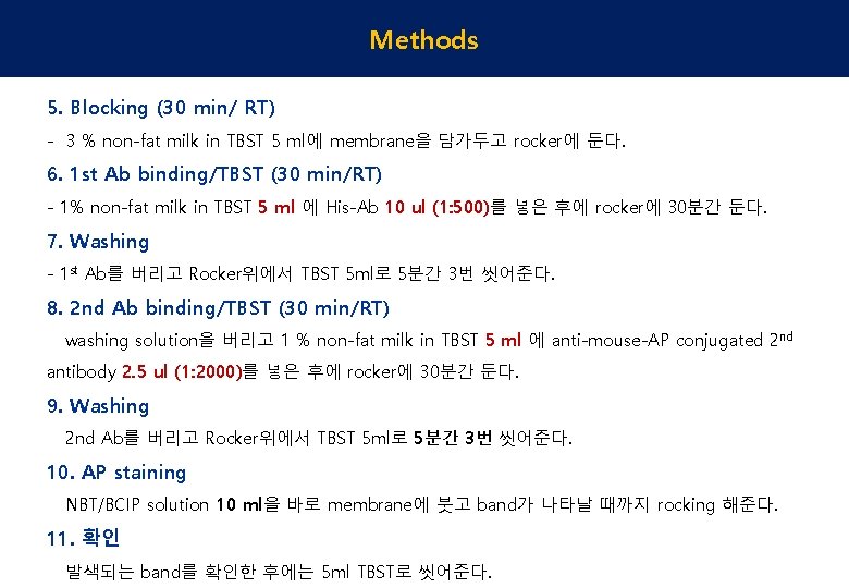 Methods 5. Blocking (30 min/ RT) - 3 % non-fat milk in TBST 5