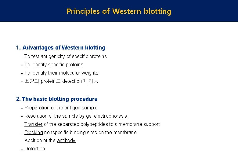 Principles of Western blotting 1. Advantages of Western blotting - To test antigenicity of