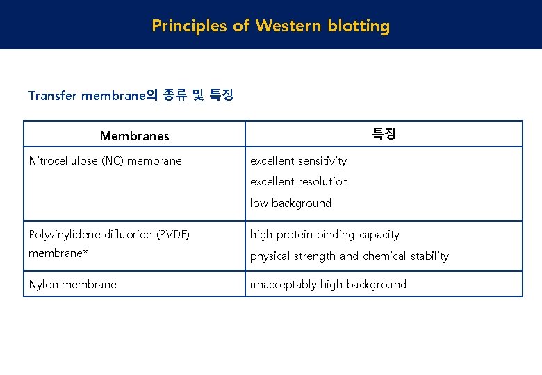 Principles of Western blotting Transfer membrane의 종류 및 특징 특징 Membranes Nitrocellulose (NC) membrane