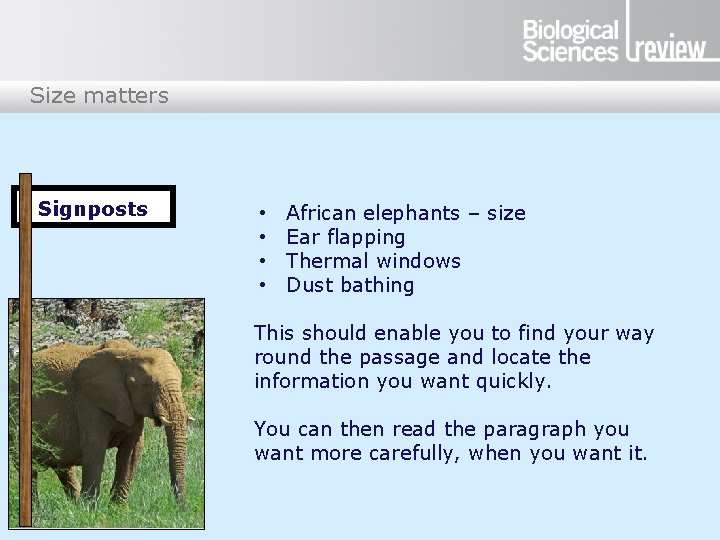 Size matters Signposts • • African elephants – size Ear flapping Thermal windows Dust