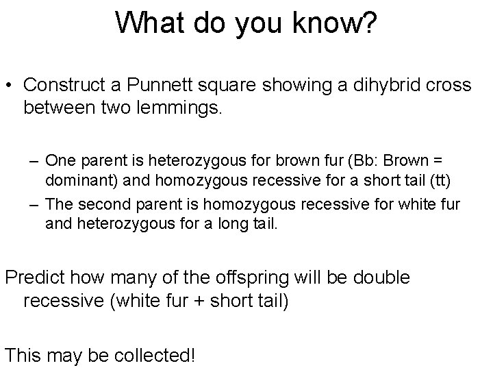 What do you know? • Construct a Punnett square showing a dihybrid cross between What do you know? • Construct a Punnett square showing a dihybrid cross between